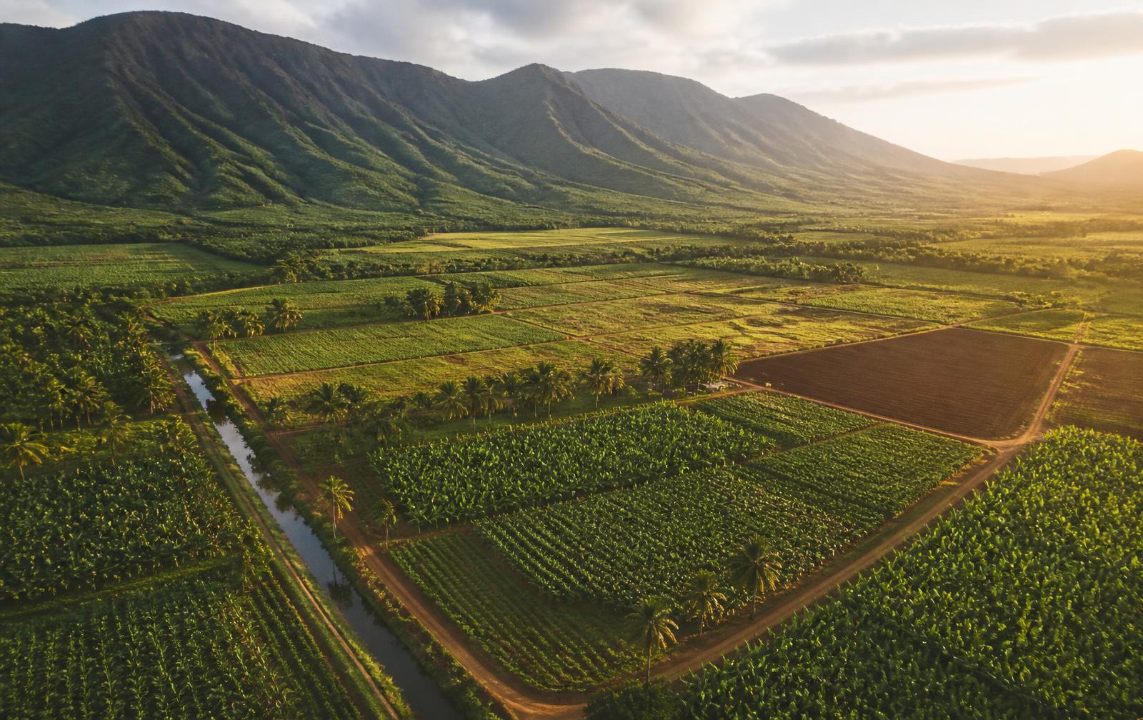 Vista aérea de tierras agrícolas tropicales, un canal de riego y caminos destapados bajo montañas verdes